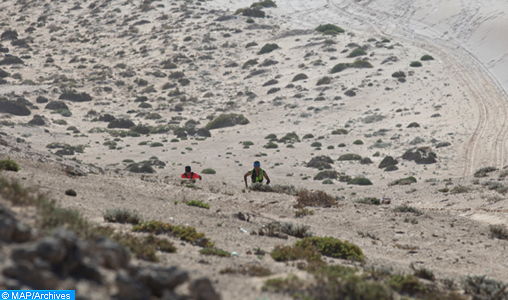 Le Marathon des sables, une odyssée sportive saharienne à connotation écologique