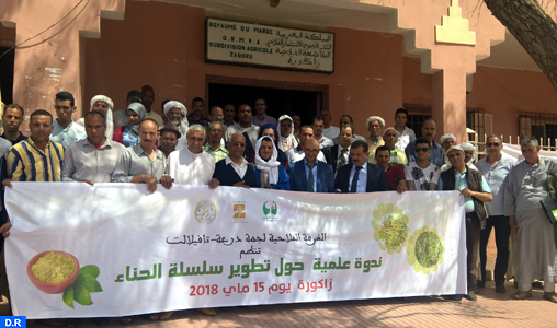 Zagora: Appel à promouvoir les programmes de renforcement des capacités des producteurs du henné
