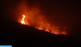 Espagne: plus de 2.600 ha calcinés et une dizaine de maisons détruites par un incendie