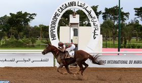 Le cheval Taymour remporte le Grand Prix de SM le Roi Mohammed VI du pur-sang Arabe