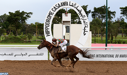 Le cheval Taymour remporte le Grand Prix de SM le Roi Mohammed VI du pur-sang Arabe