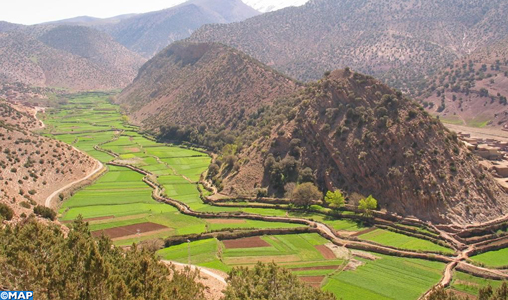 Bilan décennal du Plan Maroc Vert à la région de Béni Mellal-Khénifra : 88 projets réalisés pour un coût d’environ 5,6 Mds DH