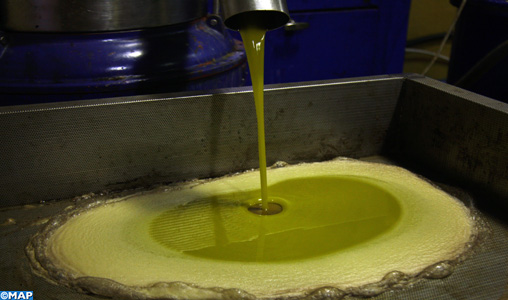 Une huile d’olive marocaine finaliste de l’édition 2019 des Prix à la qualité du Conseil oléicole international
