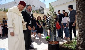 Casablanca: des jeunes musulmans plantent “un olivier de la fraternité” dans une synagogue, une église et une mosquée
