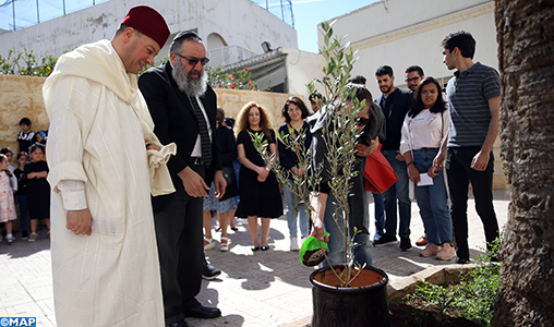 Casablanca: des jeunes musulmans plantent “un olivier de la fraternité” dans une synagogue, une église et une mosquée