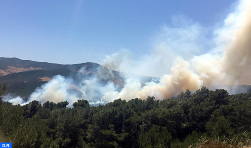 Province de Tétouan : Un incendie dans la forêt d’Aïn Lahcen quasi circonscrit
