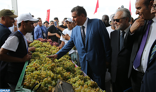 Bouznika : Le festival du raisin souffle sa 12ème bougie