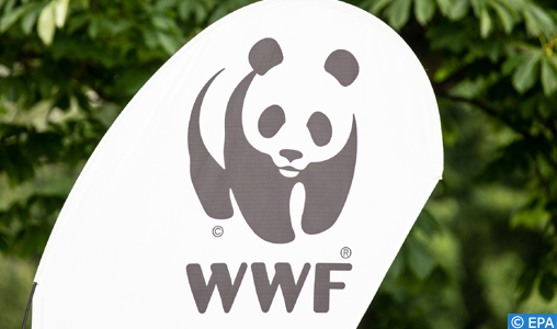 Déforestation: 43 millions d’hectares perdus entre 2004 et 2017 (WWF)