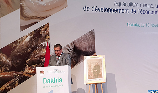 La région de Dakhla-Oued Eddahab s’accapare 60 % de la production aquacole nationale