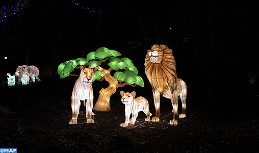 Pour les fêtes de fin d’année, un zoo au cœur de Washington propose jeux de lumières et ambiance féérique