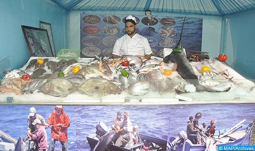 Covid-19: Les armateurs industriels de la pêche pélagique à Dakhla maintiennent leur pleine capacité productive