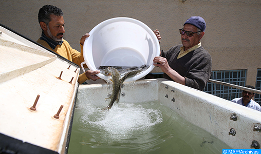 Lancement d’un projet d’appui au développement des métiers d’aquaculture au Maroc de 2,5 millions de dollars
