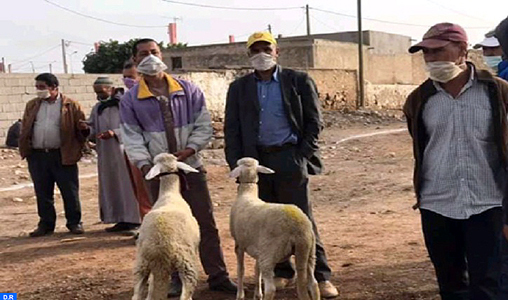 Rehamna : Ouverture du souk hebdomadaire de Sidi Bou Othmane aux éleveurs
