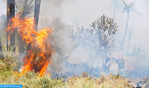 Al Haouz : Le feu de forêt déclaré à l’Ourika maîtrisé