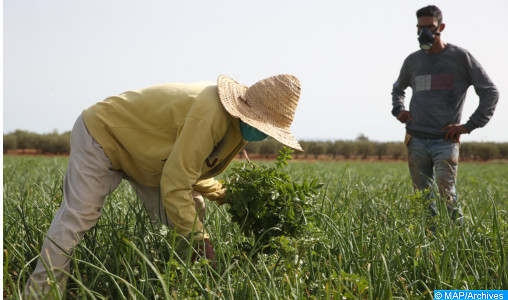 L’importance du secteur agricole dans la relance économique: cinq questions à l’universitaire Salah Koubaa