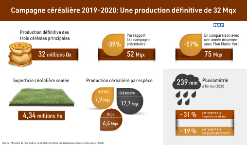 Campagne céréalière 2019-2020: Une production définitive de 32 Mqx
