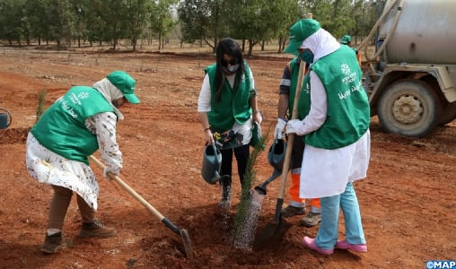 LafargeHolcim Maroc: Campagne de plantation d’arbres et de ramassage de déchets à Bouskoura