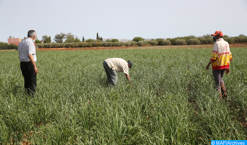 Le programme agricole exceptionnel “assurera l’équilibre du monde rural” (expert)