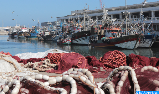 Port d’Essaouira : Les débarquements de la pêche côtière et artisanale en baisse de 48% à fin août (ONP)