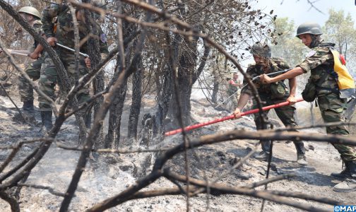 Provinces de Fahs-Anjra: 35 hectares ravagés par l’incendie déclaré au douar “Oued El-Rmel”, poursuite des efforts pour le circonscrire (sources locales)