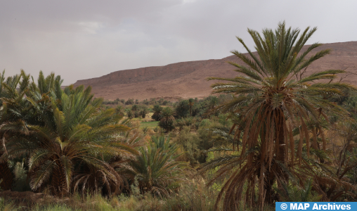 Ouarzazate : des efforts vigoureux pour améliorer la gestion de l’eau d’irrigation