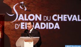 Salon du cheval d’El Jadida : les préparatifs vont bon train pour une édition 2022 exceptionnelle (Commissaire du Salon)