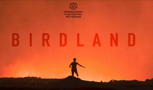 “Birdland” de Leila Kilani en sélection officielle au festival de Rotterdam