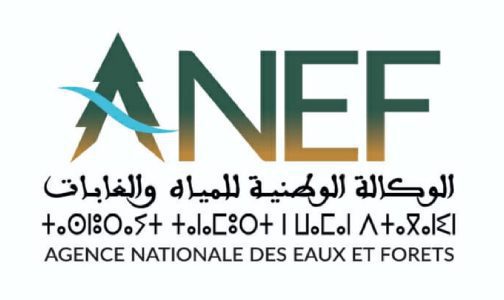 Le Maroc pleinement conscient et engagé dans la préservation et la valorisation de la faune sauvage (DG de l’ANEF)