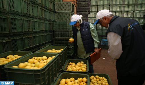 Meknès: La Commission de contrôle des prix de nouveau au marché de gros des fruits et légumes