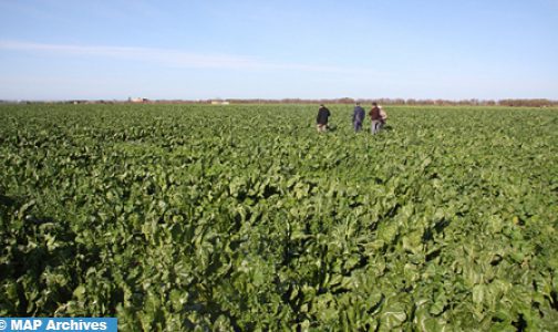 Recherche agricole: Des scientifiques marocains bénéficient d’une formation à l’Université de Californie à Davis