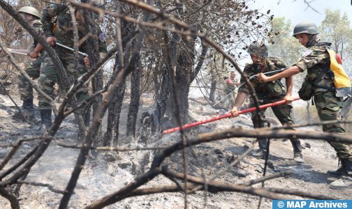Taza: L’incendie de la forêt de Maghraoua maitrisé à 75 pc (responsable)
