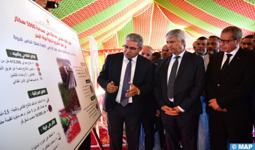 Oued Eddahab: M. Sadiki s’enquiert de l’état d’avancement du projet de dessalement de l’eau de mer pour l’irrigation de 5.000 Ha