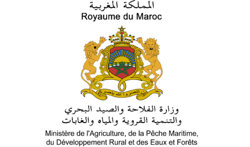 Le ministère de l’Agriculture dément les rumeurs sur la contamination des fraises marocaines par l’hépatite A