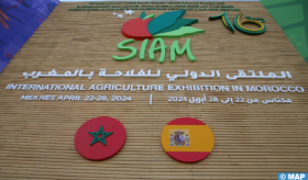 6ème concours marocain des produits du terroir : 7 prix d’excellence décernés