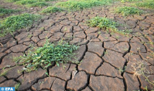 La Tunisie, 5e pays au monde le plus vulnérable au risque accru de sécheresse (rapport)