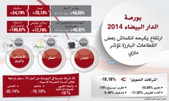 بورصة الدار البيضاء 2014 .. ارتفاع يكبحه انكماش بعض القطاعات البارزة لمؤشر “مازي” (تحليل)