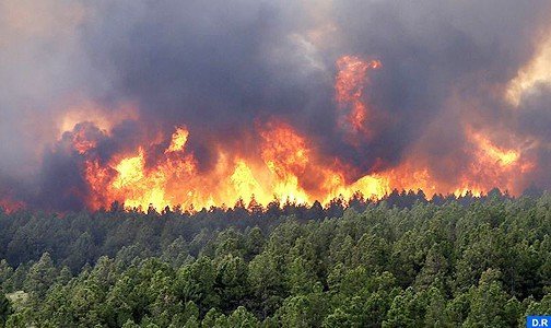 إقليم شفشاون.. إخماد حريق غابوي تسبب في إتلاف نحو 7 هكتارات
