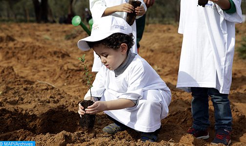 برنامج “مدارس خضراء”.. من أجل إعداد مواطني المستقبل لحمل مشعل حماية البيئة