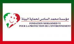 مؤسسة محمد السادس لحماية البيئة وسفارة البرتغال بالمغرب تنظمان الاثنين المقبل ندوة حول حماية المحيطات