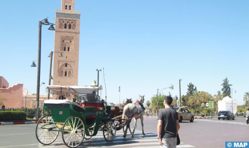 مراكش: العربات المجرورة متعة سياحية بنكهة خاصة خلال رمضان