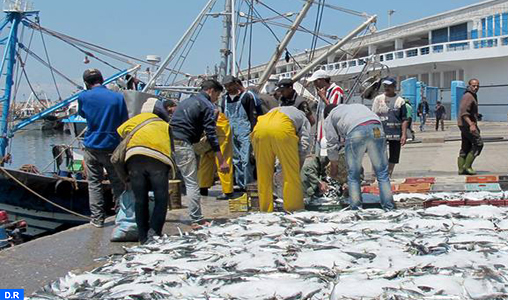 Hausse de 9 pc des débarquements de la pêche côtière et artisanale à fin 2015 (ONP)