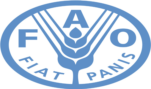 Prolifération des méduses : Une résolution proposée par le Maroc adoptée par la FAO