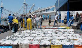 Le 3ème Forum international de l’industrie halieutique au Maroc : une collaboration pour la durabilité (FENIP)