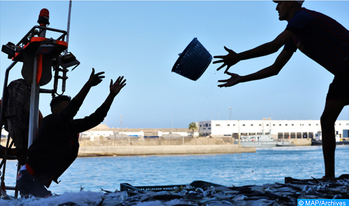 Port d’Essaouira : Les débarquements de la pêche côtière et artisanale en baisse de 55% à fin juin (ONP)
