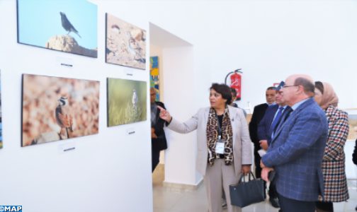 Rabat: Lancement de l’exposition régionale sur la biodiversité