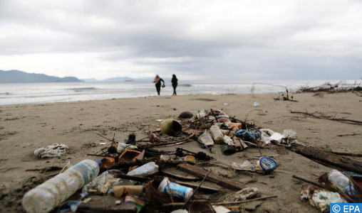 Le Fonds mondial pour la nature s’alarme de l’ampleur croissante de la pollution plastique marine