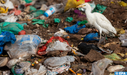 Pollution Plastique: L’économie circulaire, une solution durable pour la planète terre mise à mal